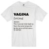 Vagina Noun T-shirt