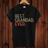 Best Grandad Ever Gift From Grandchildren Best Grandad T-Shirt